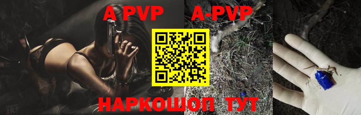 Alfa_PVP СК КРИС Гудермес
