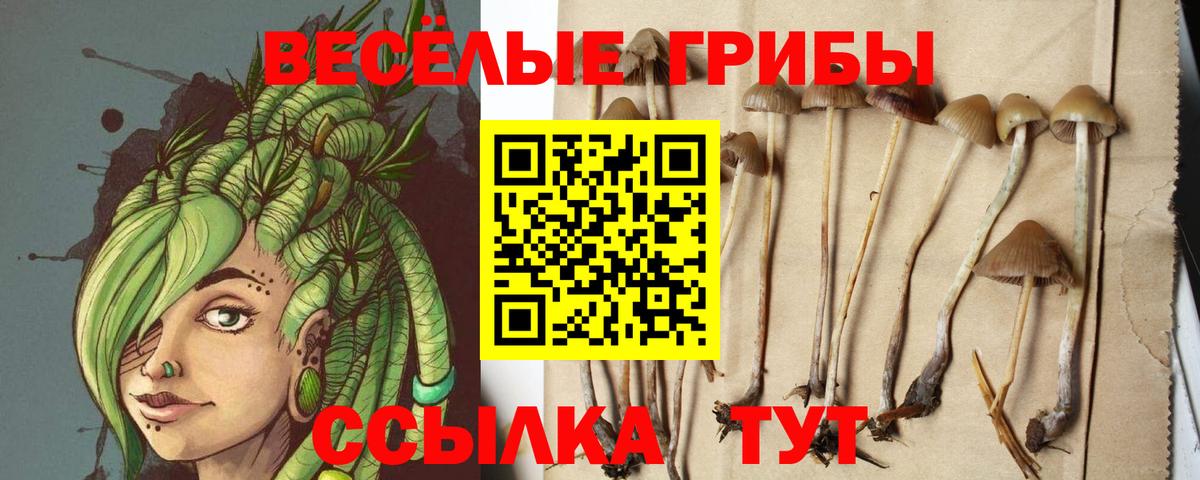 Псилоцибиновые грибы Magic Shrooms  Вход с VPN  Галлюциногенные грибы мицелий  Гудермес 