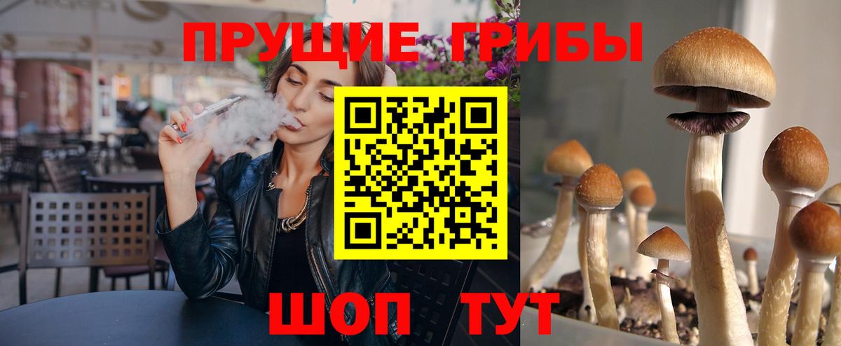 Галлюциногенные грибы прущие грибы Гудермес