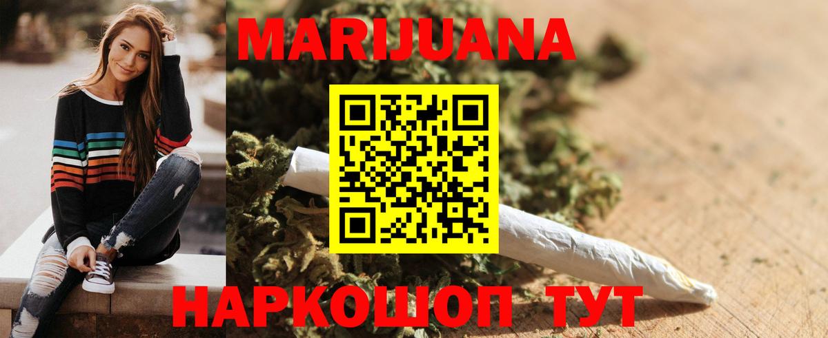 Конопля сатива Гудермес